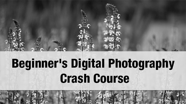Beginner's Digital Photography Crash Course