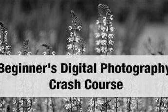 Beginners-Digital-Photography-Crash-Course-Header